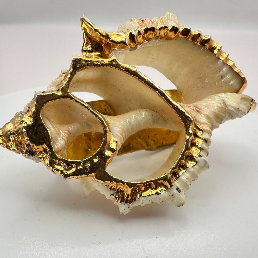 Vintage Y2K Center Cut Frilled Frog Seashell Tie Clip Gold Tone Trim Statement